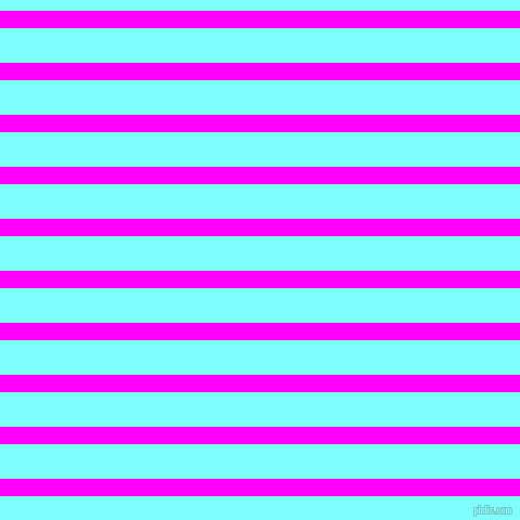 horizontal lines stripes, 16 pixel line width, 32 pixel line spacing, Magenta and Electric Blue horizontal lines and stripes seamless tileable