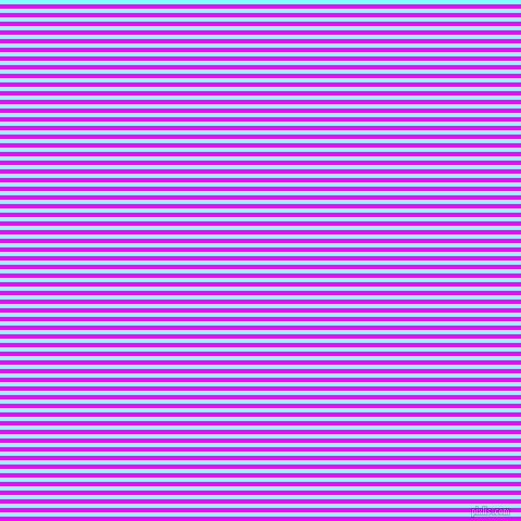 horizontal lines stripes, 4 pixel line width, 4 pixel line spacing, Magenta and Electric Blue horizontal lines and stripes seamless tileable