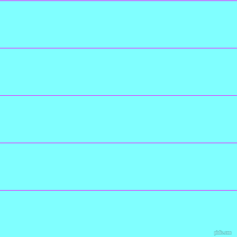 horizontal lines stripes, 1 pixel line width, 96 pixel line spacing, Magenta and Electric Blue horizontal lines and stripes seamless tileable
