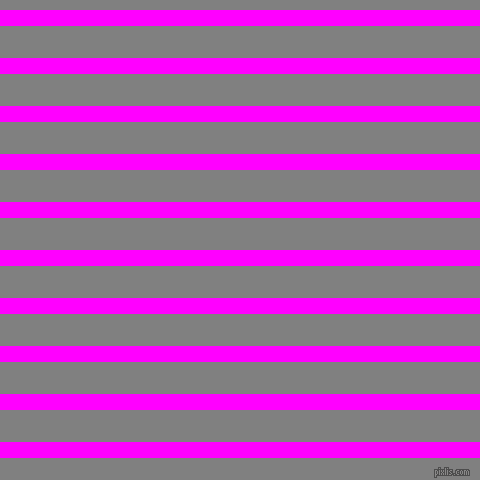 horizontal lines stripes, 16 pixel line width, 32 pixel line spacing, Magenta and Grey horizontal lines and stripes seamless tileable