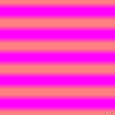 horizontal lines stripes, 2 pixel line width, 2 pixel line spacing, Magenta and Salmon horizontal lines and stripes seamless tileable