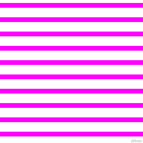 horizontal lines stripes, 16 pixel line width, 32 pixel line spacing, Magenta and White horizontal lines and stripes seamless tileable