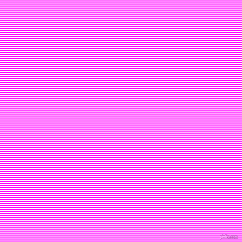 horizontal lines stripes, 2 pixel line width, 2 pixel line spacing, Magenta and White horizontal lines and stripes seamless tileable