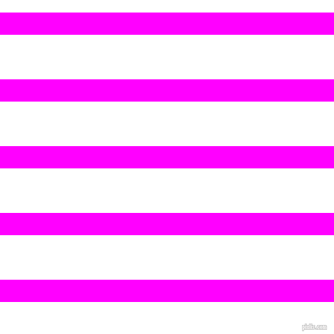 horizontal lines stripes, 32 pixel line width, 64 pixel line spacing, Magenta and White horizontal lines and stripes seamless tileable