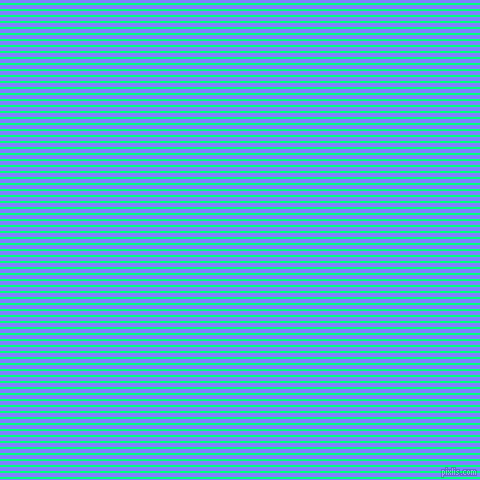 horizontal lines stripes, 2 pixel line width, 4 pixel line spacing, Spring Green and Light Slate Blue horizontal lines and stripes seamless tileable