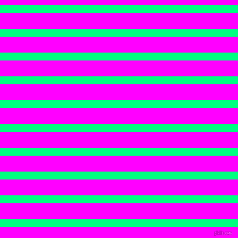 horizontal lines stripes, 16 pixel line width, 32 pixel line spacing, Spring Green and Magenta horizontal lines and stripes seamless tileable
