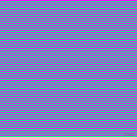 horizontal lines stripes, 4 pixel line width, 4 pixel line spacing, Spring Green and Magenta horizontal lines and stripes seamless tileable