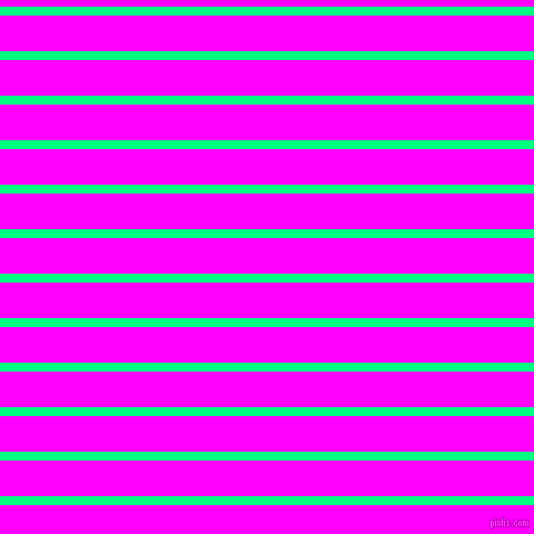 horizontal lines stripes, 8 pixel line width, 32 pixel line spacing, Spring Green and Magenta horizontal lines and stripes seamless tileable