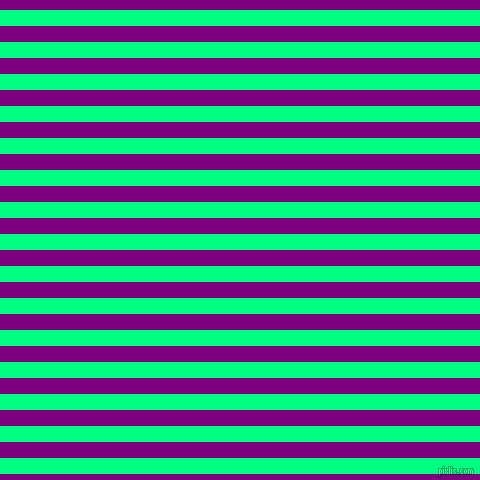 horizontal lines stripes, 16 pixel line width, 16 pixel line spacing, Spring Green and Purple horizontal lines and stripes seamless tileable