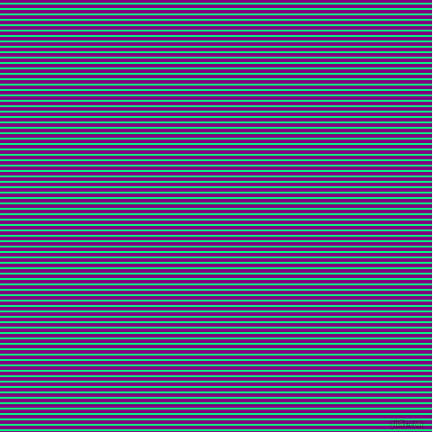 horizontal lines stripes, 2 pixel line width, 4 pixel line spacing, Spring Green and Purple horizontal lines and stripes seamless tileable