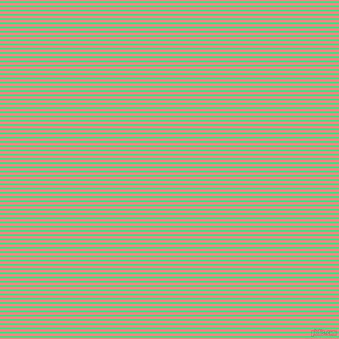 horizontal lines stripes, 1 pixel line width, 2 pixel line spacing, Spring Green and Salmon horizontal lines and stripes seamless tileable