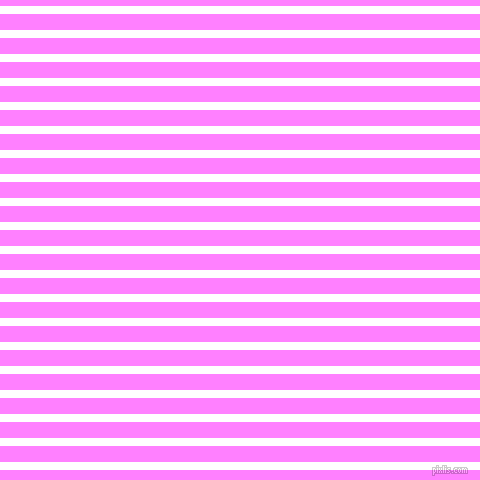 horizontal lines stripes, 8 pixel line width, 16 pixel line spacing, White and Fuchsia Pink horizontal lines and stripes seamless tileable