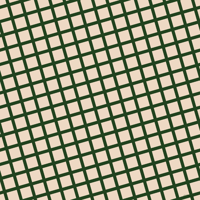 16/106 degree angle diagonal checkered chequered lines, 11 pixel line width, 37 pixel square size, plaid checkered seamless tileable