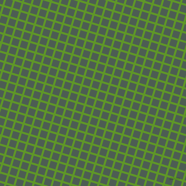 73/163 degree angle diagonal checkered chequered lines, 7 pixel line width, 24 pixel square size, Limeade and Feldgrau plaid checkered seamless tileable