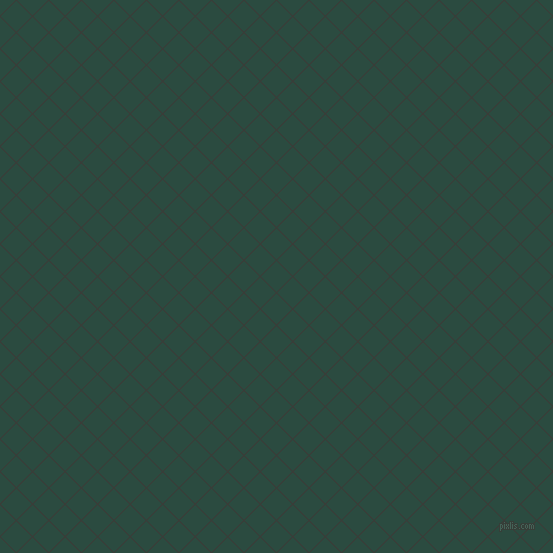 45/135 degree angle diagonal checkered chequered lines, 1 pixel line width, 22 pixel square size, Zeus and Te Papa Green plaid checkered seamless tileable