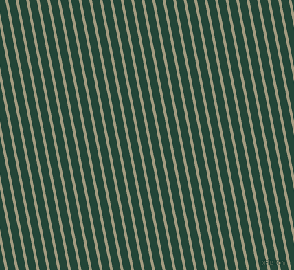 101 degree angle lines stripes, 4 pixel line width, 11 pixel line spacing, stripes and lines seamless tileable