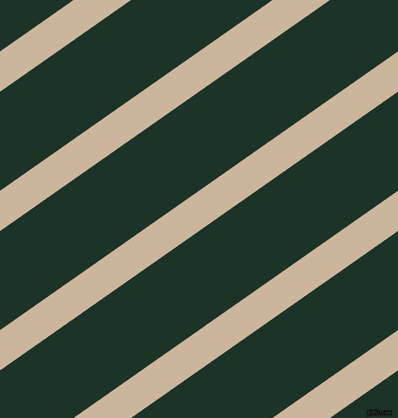 35 degree angle lines stripes, 48 pixel line width, 118 pixel line spacing, stripes and lines seamless tileable