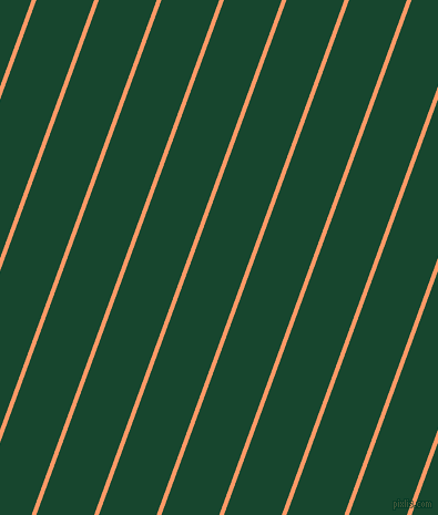 70 degree angle lines stripes, 4 pixel line width, 49 pixel line spacing, stripes and lines seamless tileable