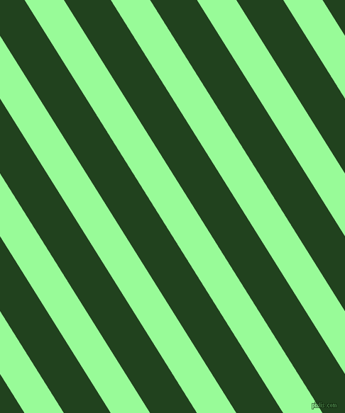 122 degree angle lines stripes, 47 pixel line width, 56 pixel line spacing, Pale Green and Myrtle stripes and lines seamless tileable