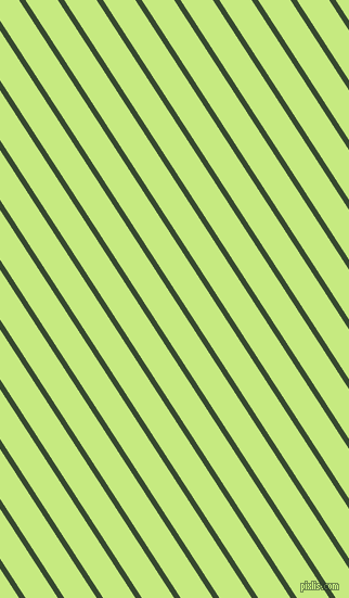 123 degree angle lines stripes, 5 pixel line width, 25 pixel line spacing, Palm Leaf and Sulu stripes and lines seamless tileable