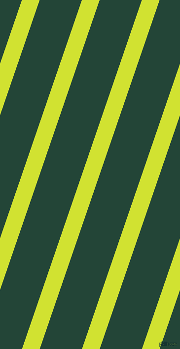 71 degree angle lines stripes, 34 pixel line width, 81 pixel line spacing, Pear and Burnham stripes and lines seamless tileable