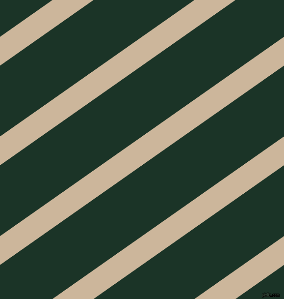 35 degree angle lines stripes, 48 pixel line width, 118 pixel line spacing, Vanilla and Cardin Green stripes and lines seamless tileable