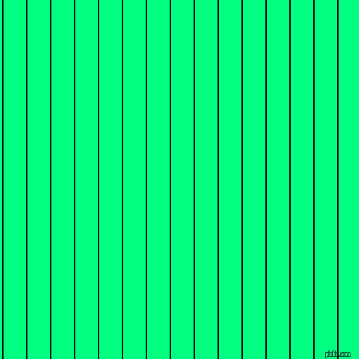 vertical lines stripes, 2 pixel line width, 32 pixel line spacing, Black and Spring Green vertical lines and stripes seamless tileable