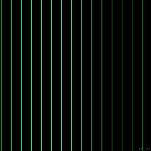 vertical lines stripes, 2 pixel line width, 32 pixel line spacing, Spring Green and Black vertical lines and stripes seamless tileable